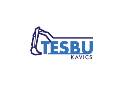 Tesbu kavics